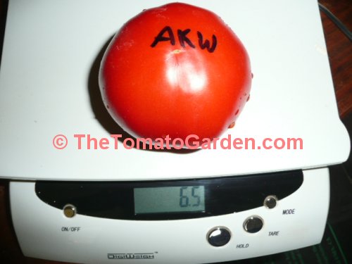 AKW tomato weight