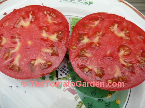 Campbell 1327 Tomato