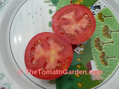 Heinz 1439 Tomato