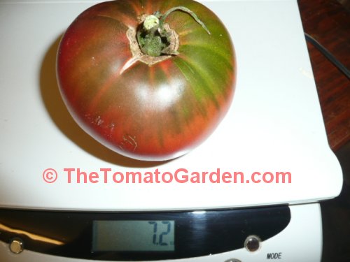 Indian Stripe Tomato