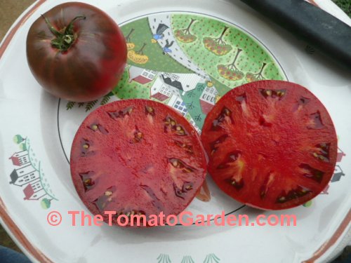 Indian Stripe Tomato
