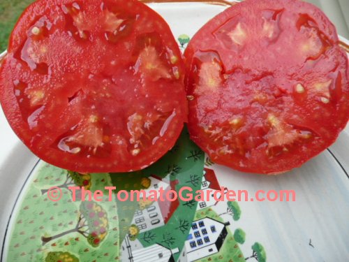 John Lossaso's Low Acid Ruby tomato