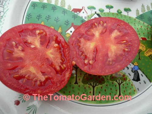 Livingston's Gulf State Market Tomato