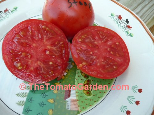 Livingston's Stone tomato