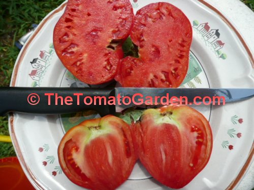 Ludmillas Pink Heart Tomato
