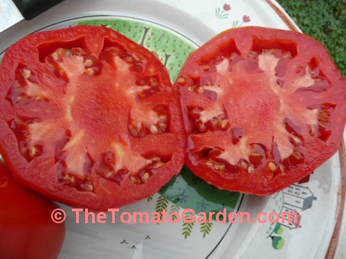 Mule Team tomato